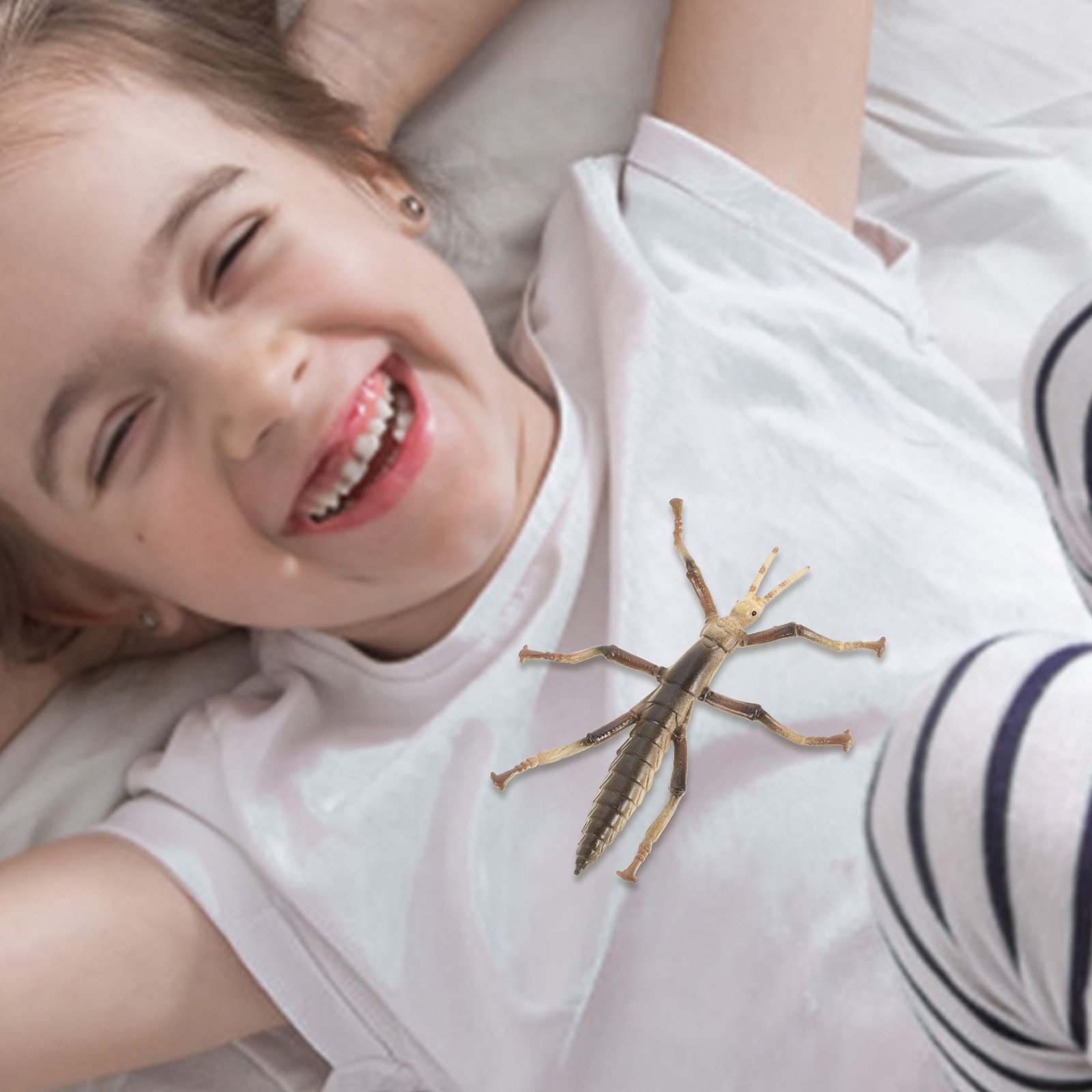 Sturdy Plastic Stick Insect fo - Kids Education Activities ulasan dan harga
