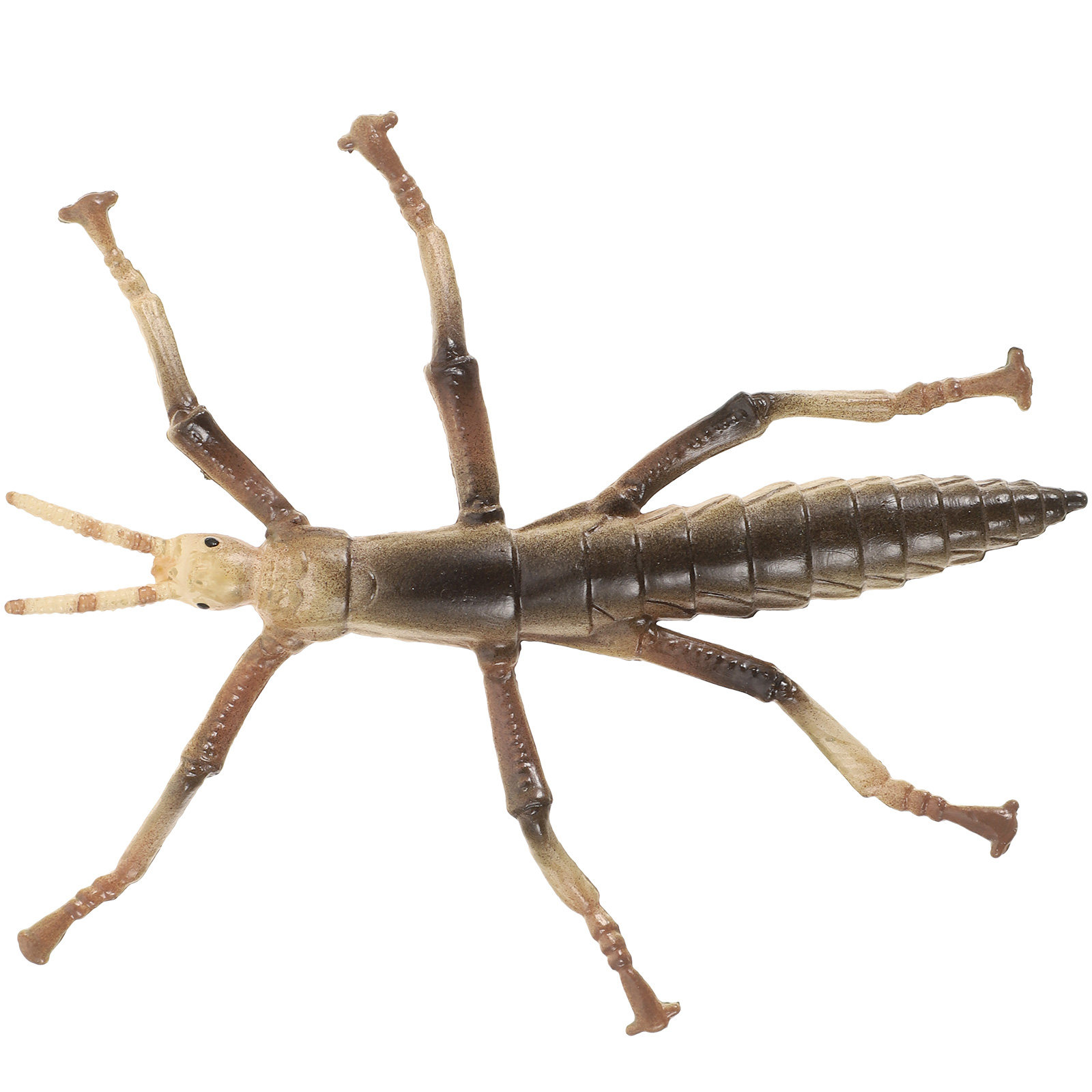 Sturdy Plastic Stick Insect fo - Kids Education Activities ulasan dan harga